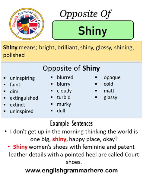 antonyms of shiny|shiny antonym words.